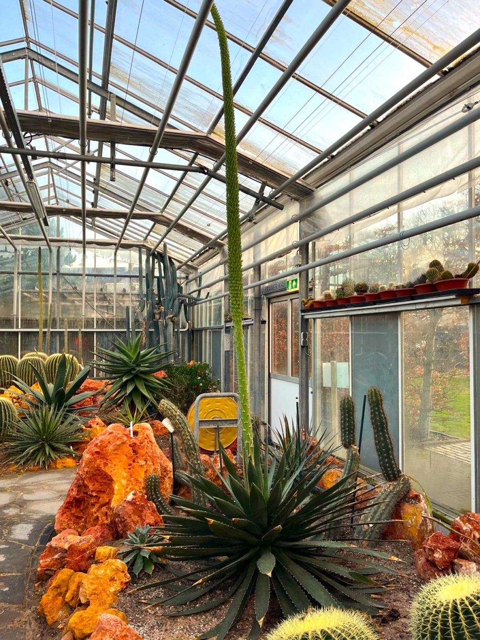 Vacature afbeelding Meewerkend Voorman Groenvoorziening van Hortus Overzee