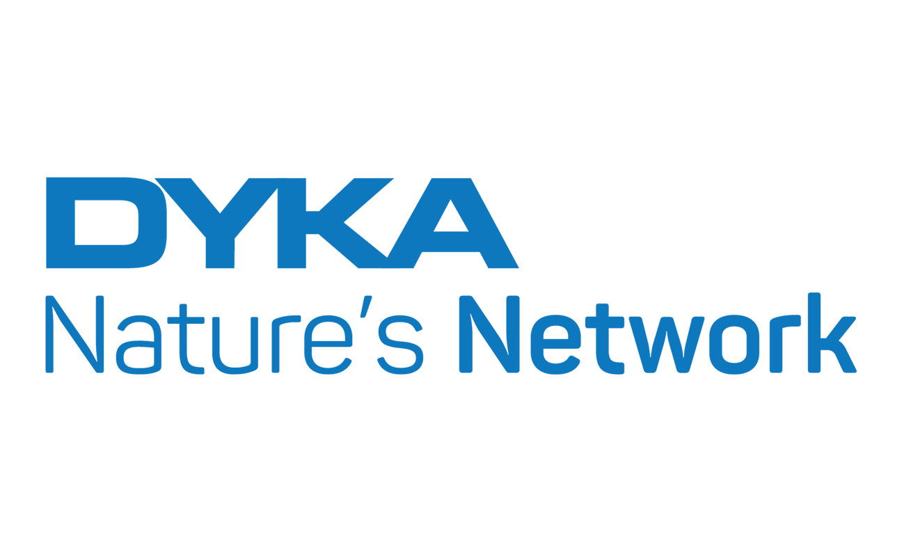 Logo DYKA