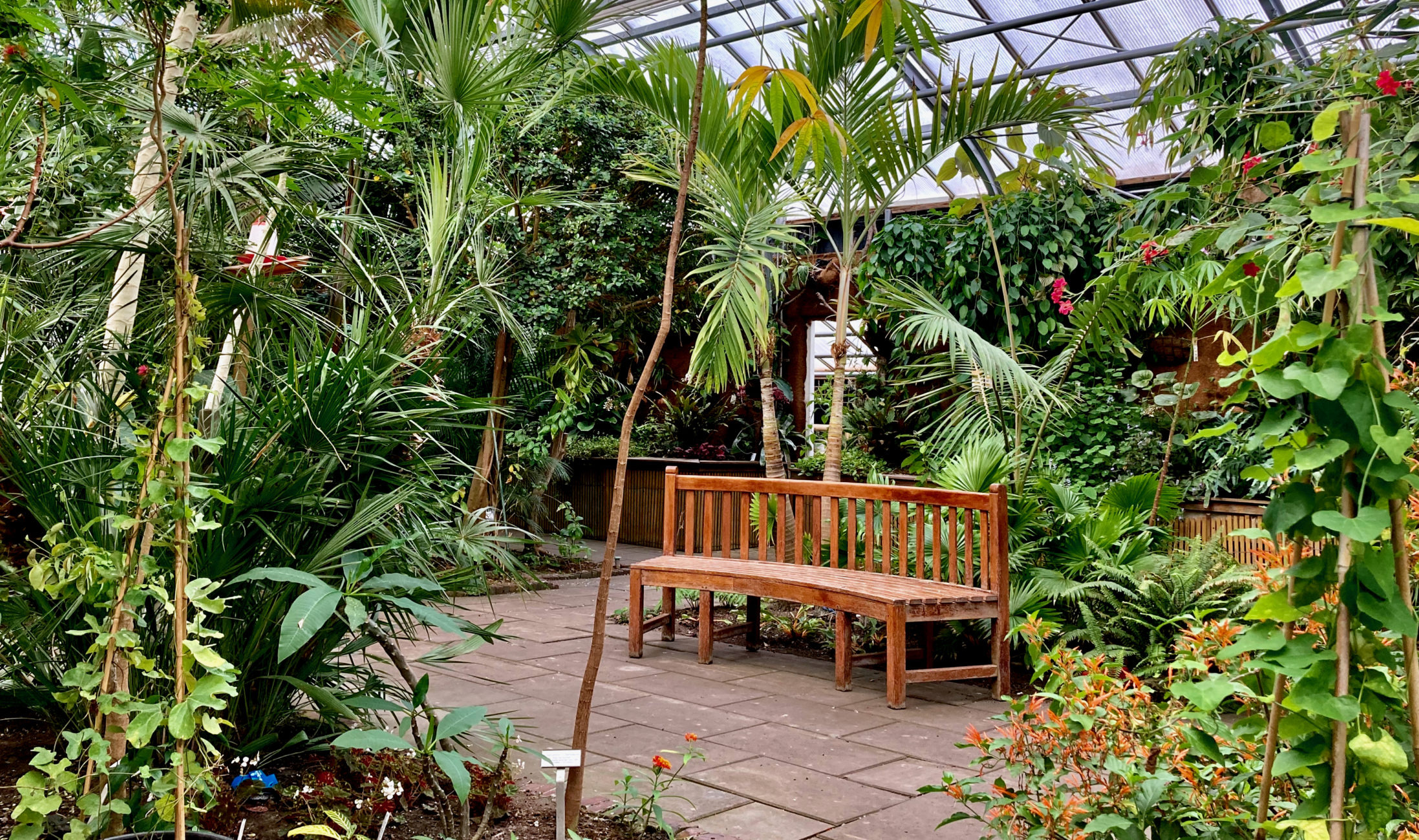 Vacature afbeelding Meewerkend Voorman Groenvoorziening van Hortus Overzee