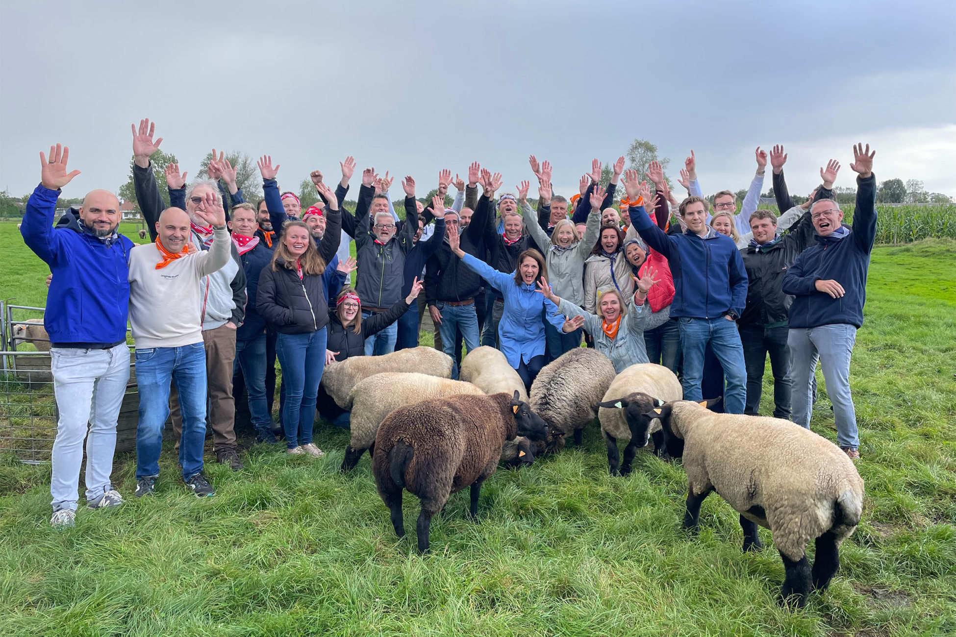 Vacature afbeelding Accountmanager van Korachem