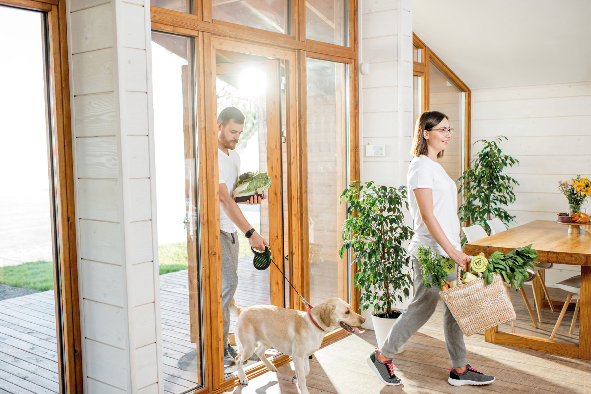 Vacature afbeelding Accountmanager Wood Coatings België van Remmers B.V.