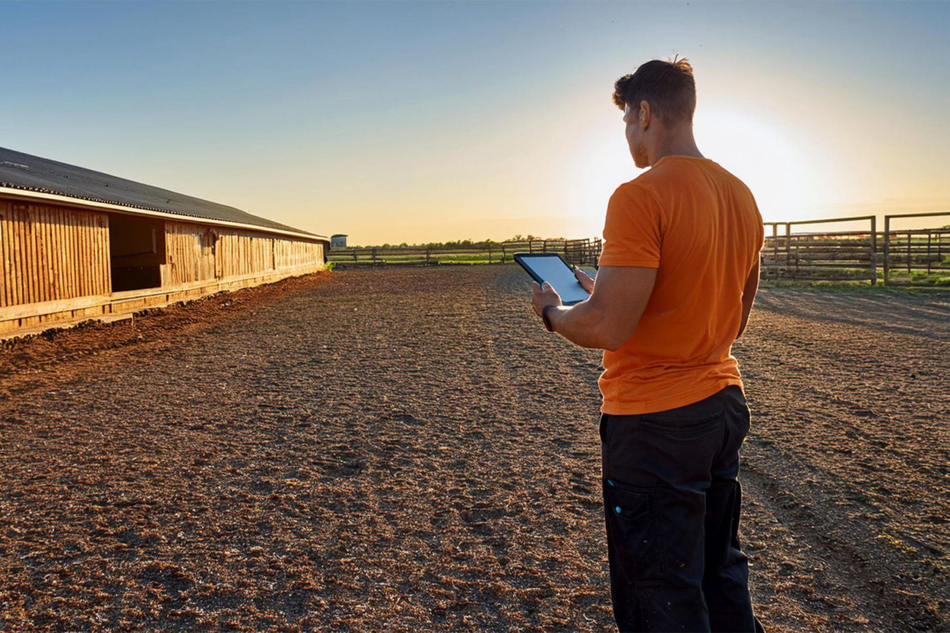 Vacature afbeelding Projectmanager van Safer Places